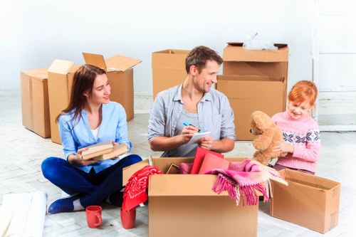 Risk assessment and planning before a man with a van in Bromley move